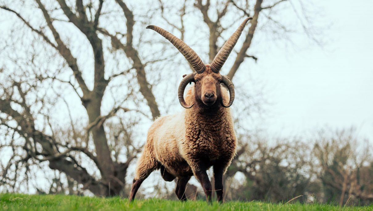 The Ultimate Guide to Photography & Videography in the Isle of Man