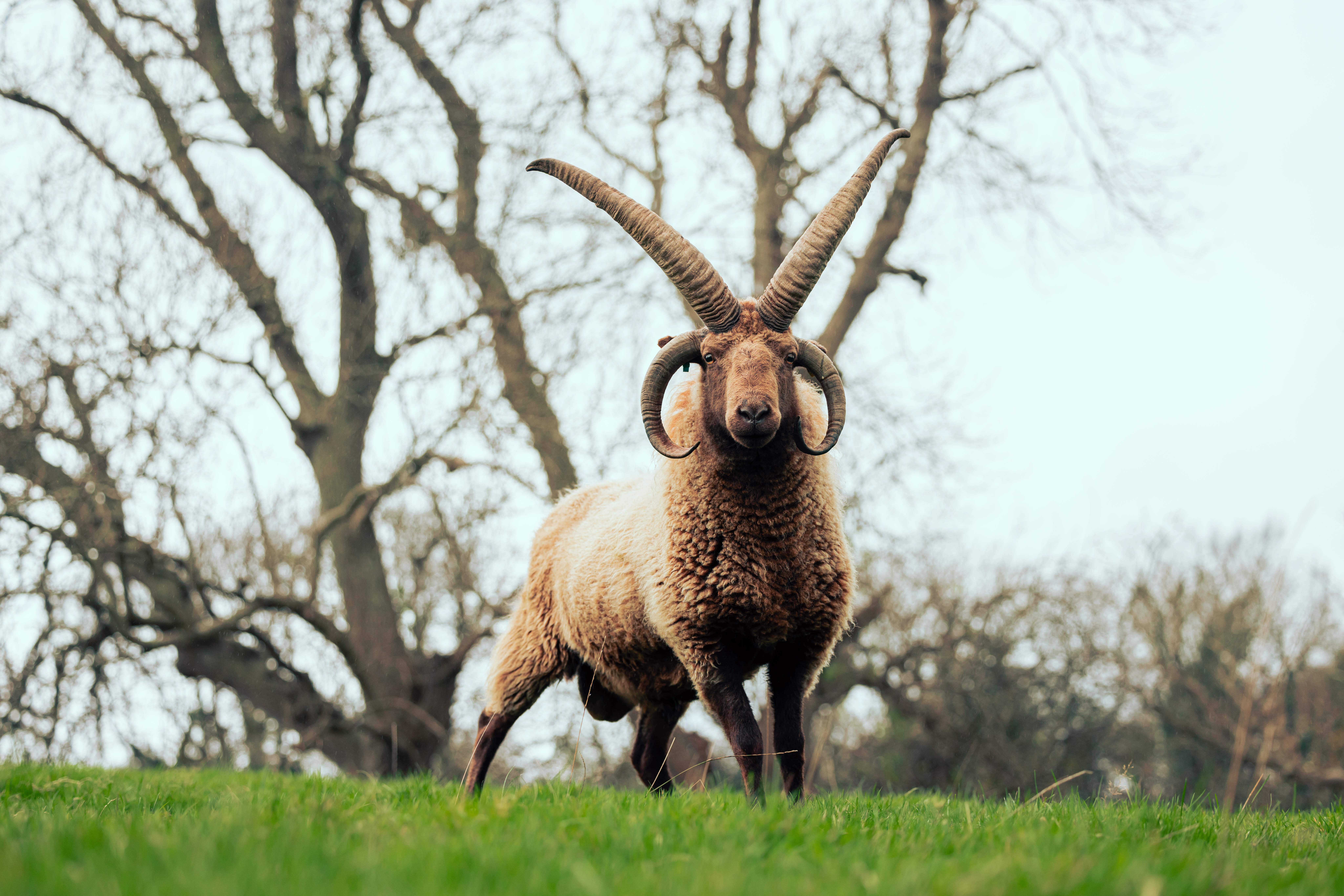 Professional Photographer David Lovelady in the Isle of Man – Capturing the island’s beauty